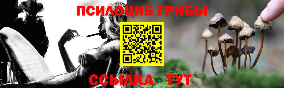Магадан  Галлюциногенные грибы GOLDEN TEACHER  Вход с VPN 